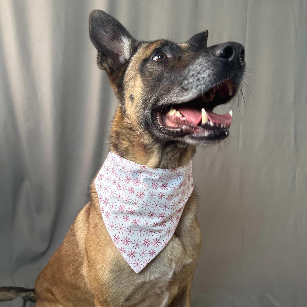 Snowflake Christmas Bandana