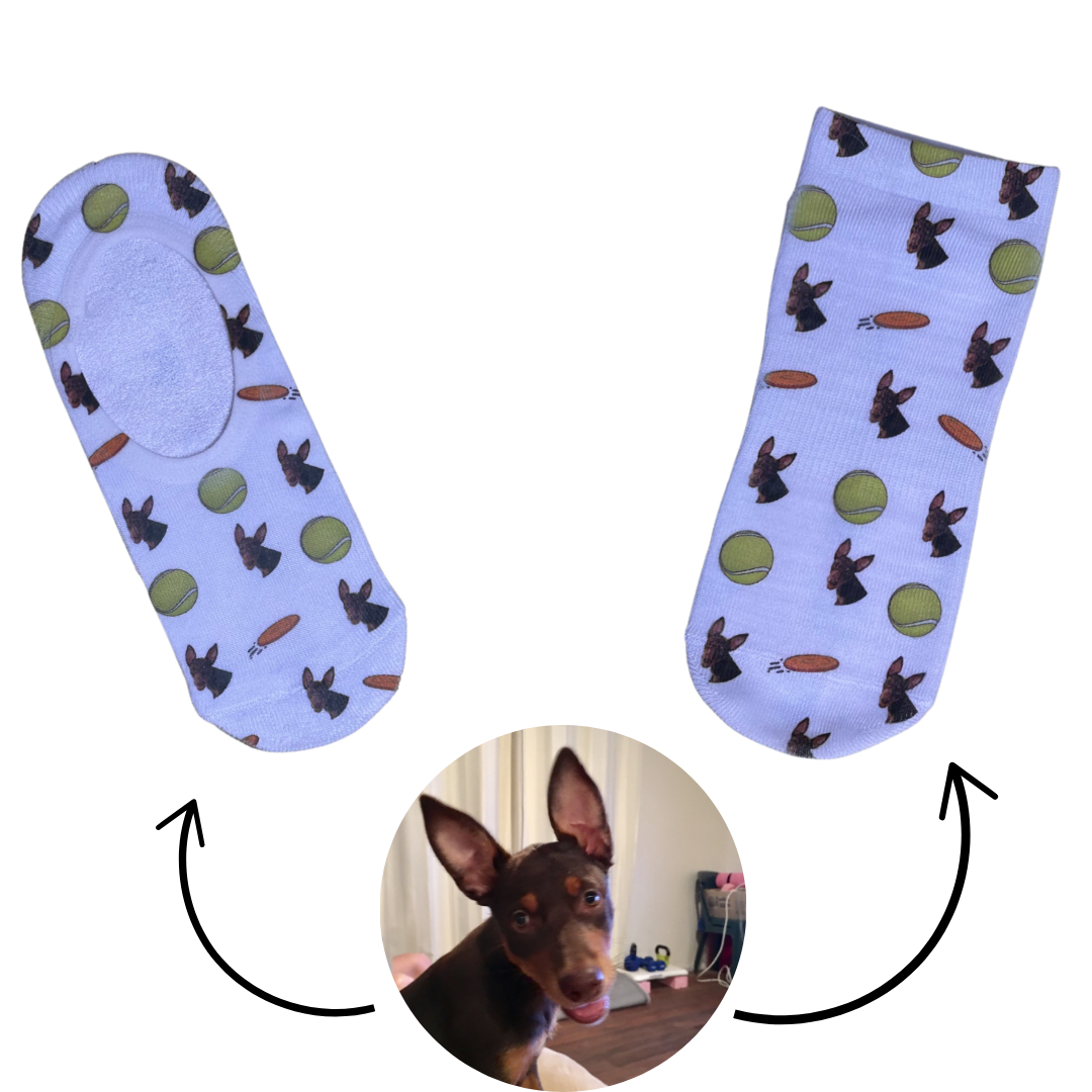 Custom Socks! - Dogs, Balls & Frisbee's