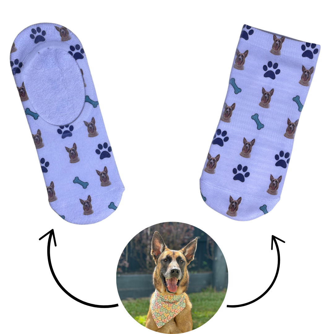 Custom Socks! - Dogs & Blue Bones