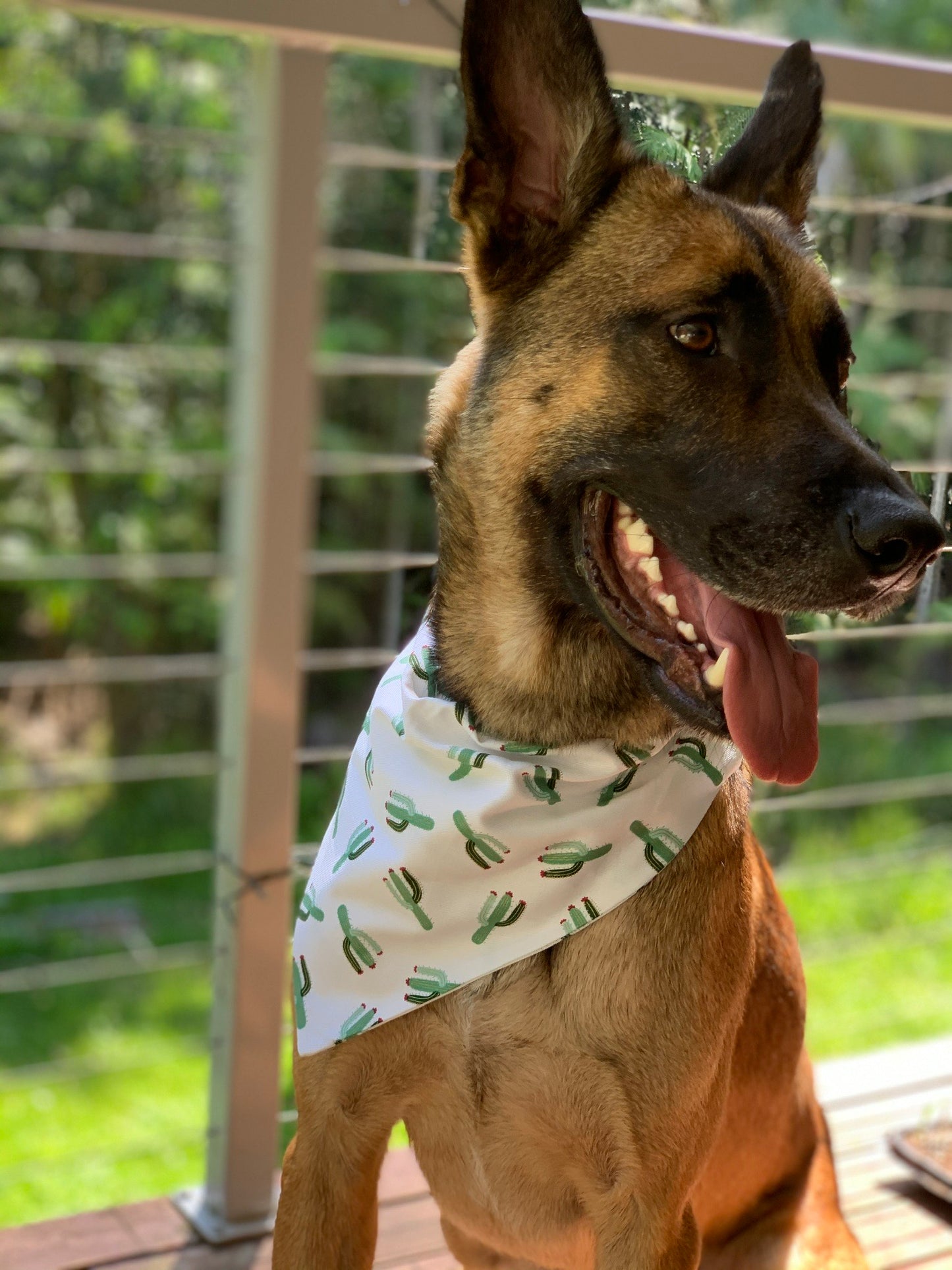 Cactus Party Dog Bandana