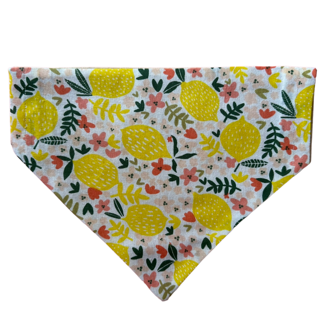 Spring Time Bandana