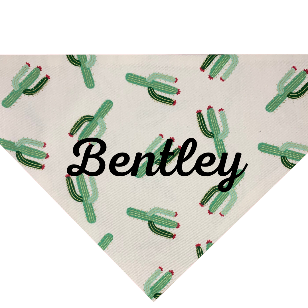 Cactus Party Dog Bandana